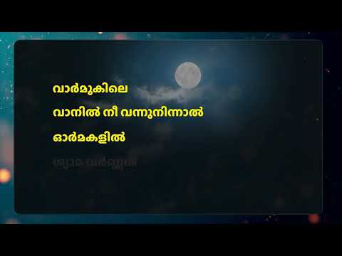 Varmukile Vanil Nee Vannu Ninnal Karaoke | Malayalam Karaoke with Lyrics | High Quality Track